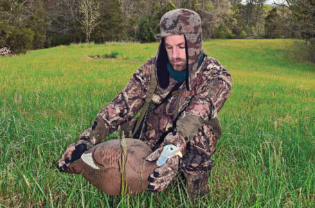 Calling Turkeys with Turkey Gobble Sounds Image